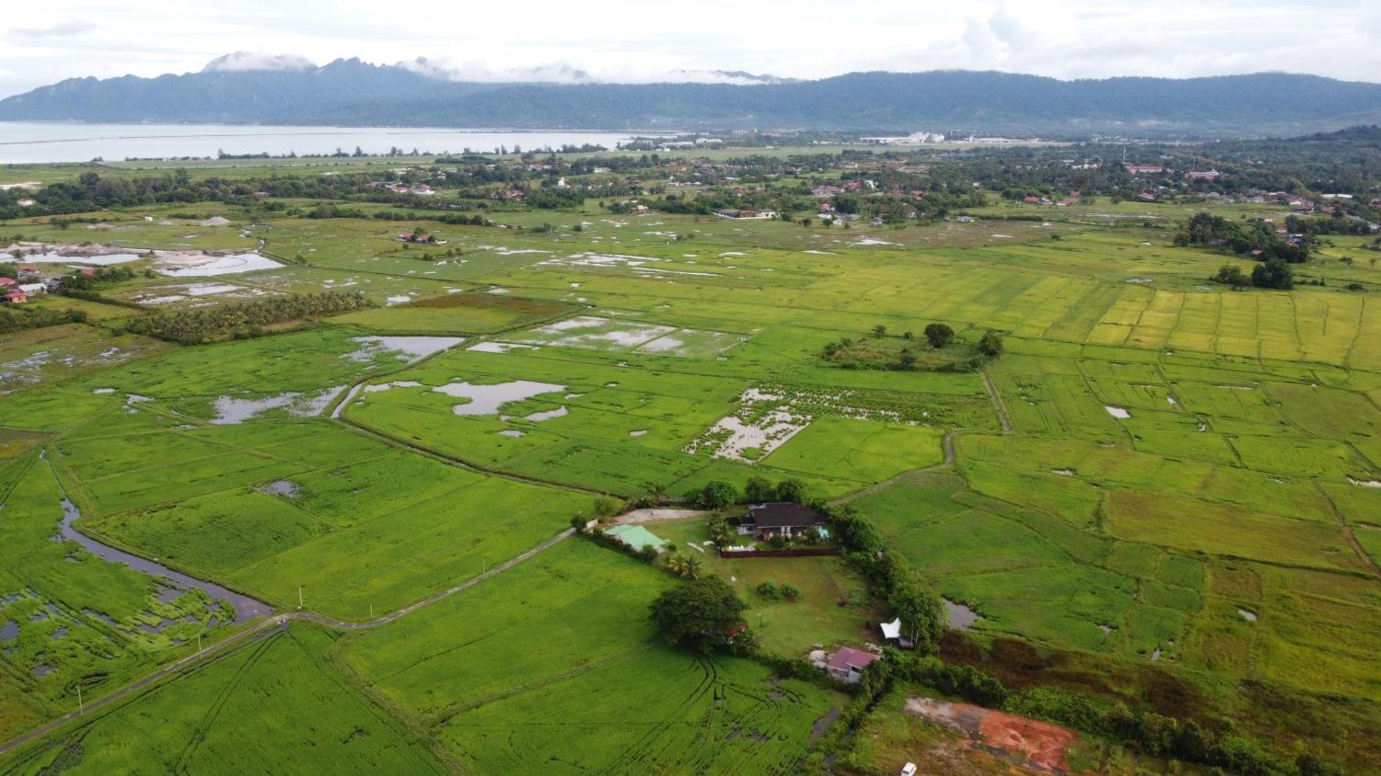 Villa Tempoyak Homestay Pantai Cenang  Exterior foto