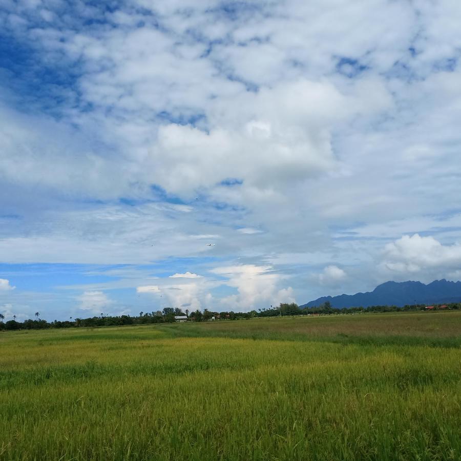 Villa Tempoyak Homestay Pantai Cenang  Exterior foto